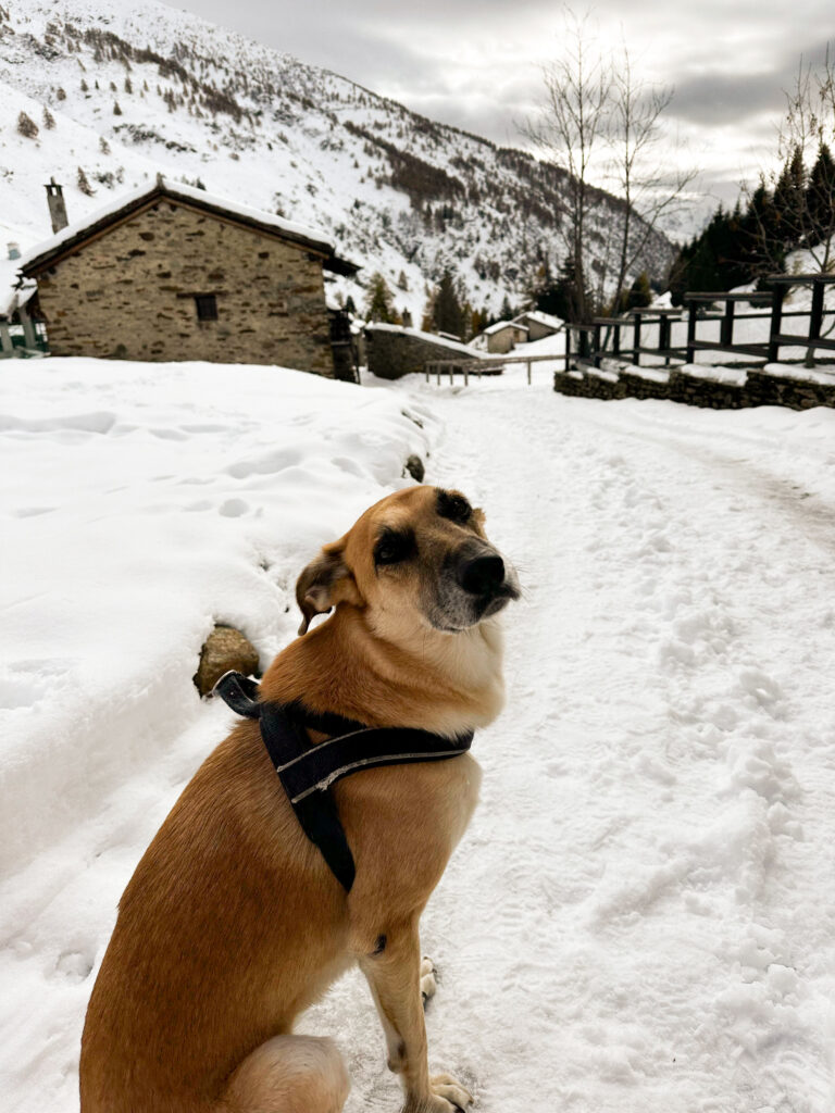 Camilla nella neve, in un borgo di montagna