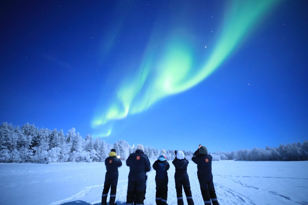 Cinque persone di spalle guardano l'aurora boreale sopra un bosco innevato
