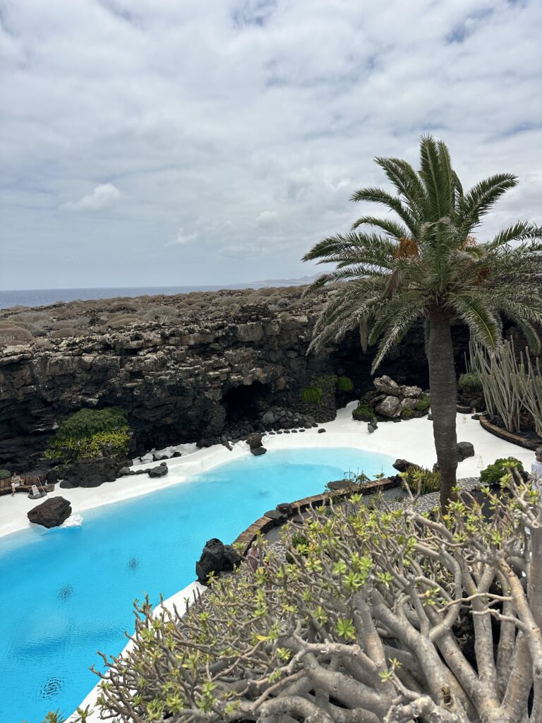 Piscina naturale di acqua turchese tra le rocce scure, con una palma