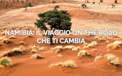 Namibia on the road: quando la strada diventa casa