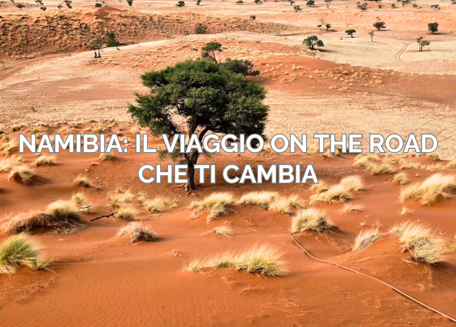 Namibia on the road: quando la strada diventa casa