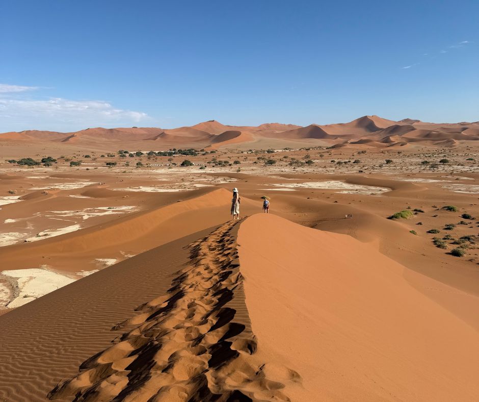 Dune del deserto della Namibia