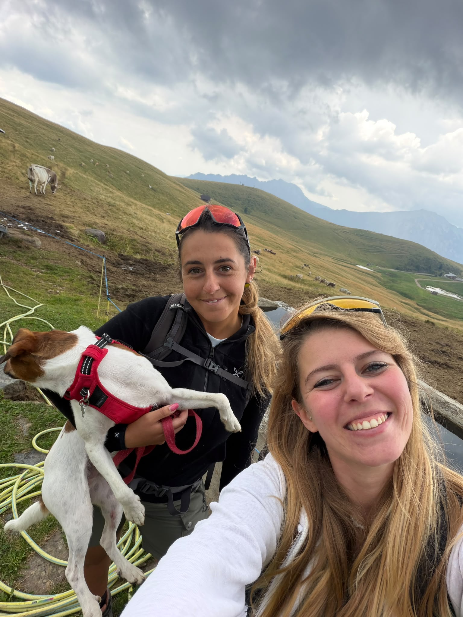 Due escursioniste con il cane lungo il sentiero dei Laghi di Ponteranica